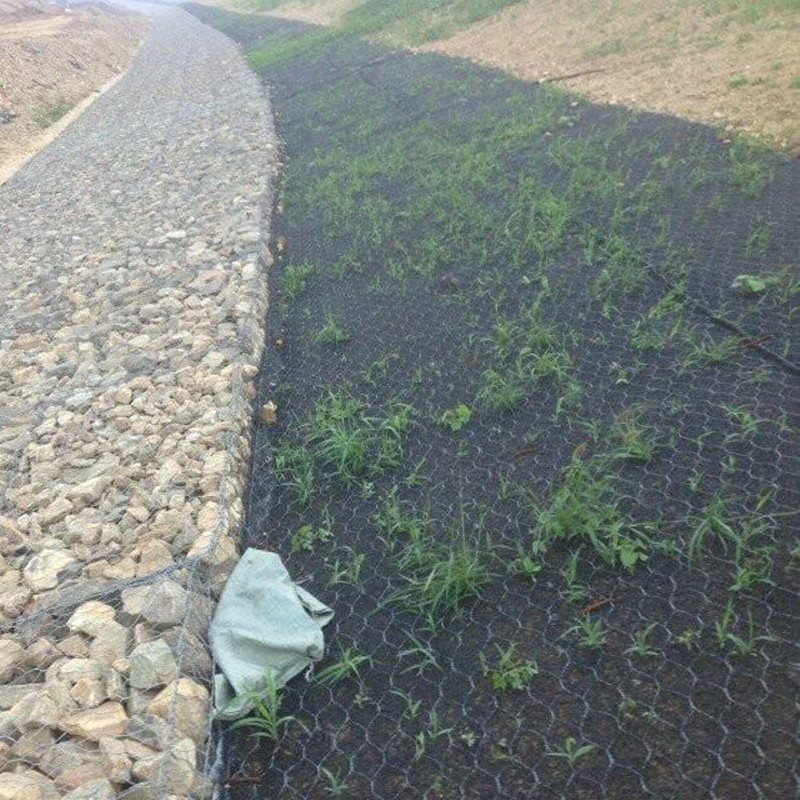 植草加筋麥克墊 植草加筋麥克墊