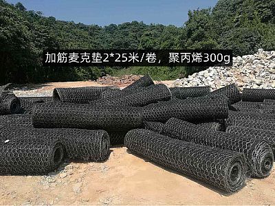 加筋麥克墊網(wǎng)格8*10cm,聚丙烯質(zhì)量300g,多少錢，怎么賣？